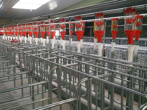 贵州猪场自动化料线